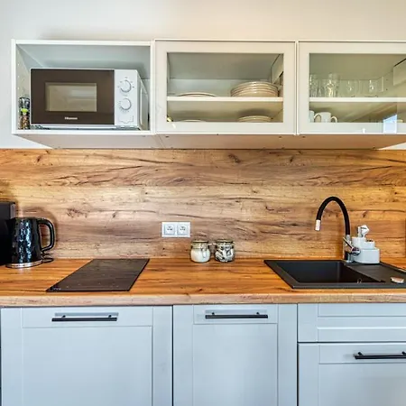 A1 Z Basenem I - 5d 아파트 스클라르스카포렘바